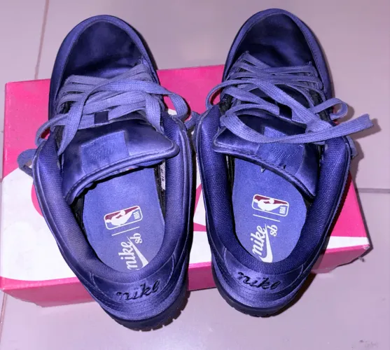 Tênis Nike Sb Nba