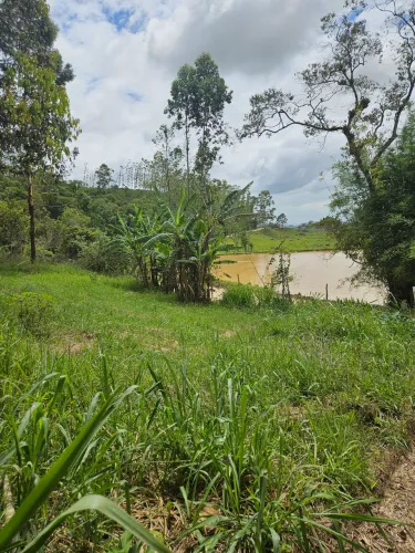 Terrenos Ilhota 