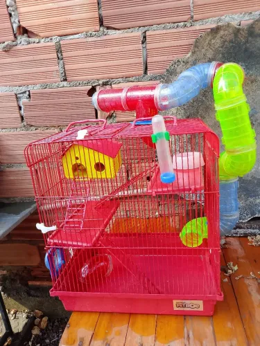 Gaiola para hamster 