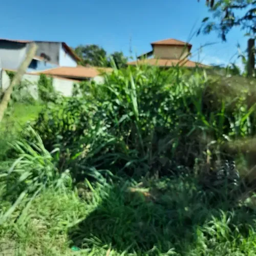 Lote comercial na Estrada Engenho do mato altura do vale feliz