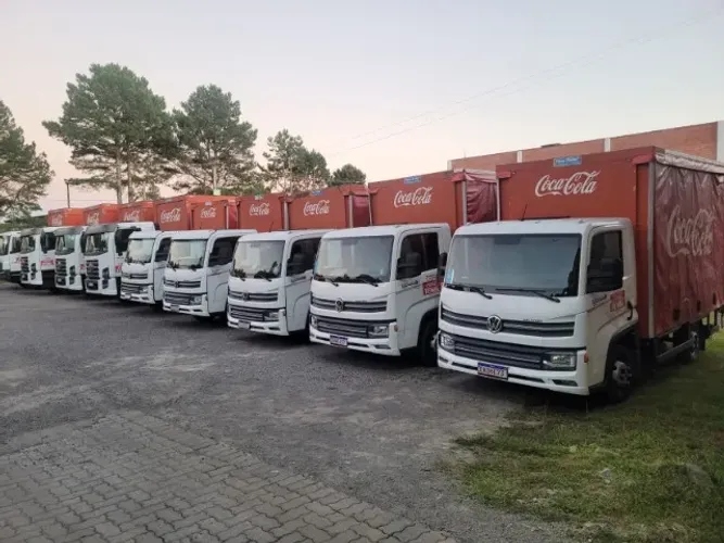 MOTORISTA CATEGORIA D