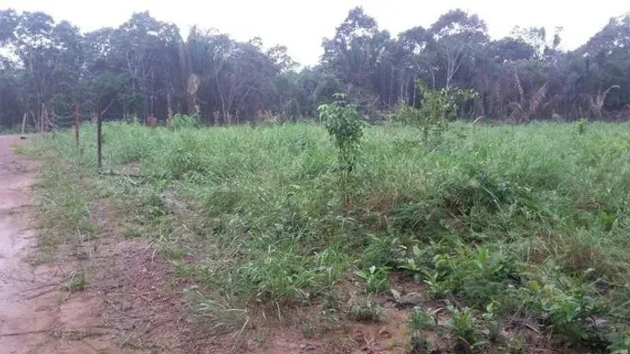 Sitio em Iranduba no ramal do lago santo antônio 60x100 com escritura e registro