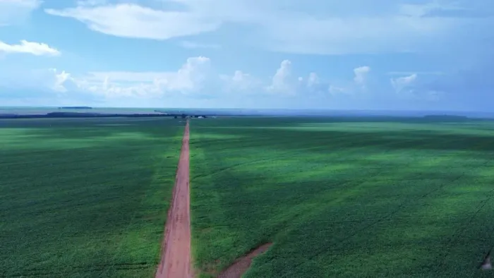 Fazenda 5.700 alq em deciolandia x Diamantino MT. 3.680 plantando
