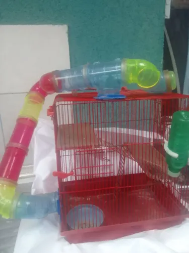 Gaiola para hamster