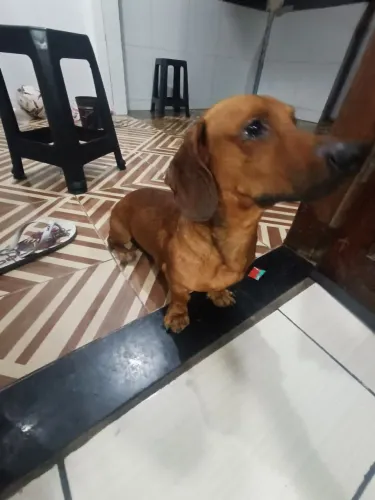 Na procura de uma namorada 