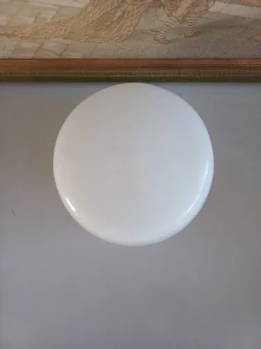 Cúpula de vidro leitoso opalina