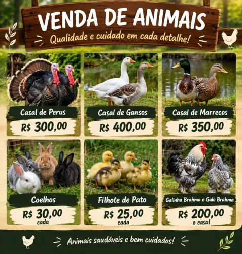 Vendo Animais