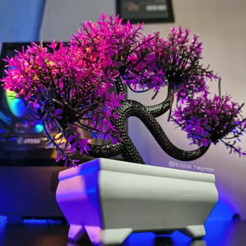 Árvore Bonsai Decorativo - Diversos Modelos e Cores para Mesa, Escritório, Quarto e Sala