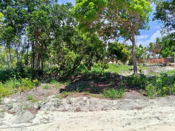 Terreno à Venda no Bairro Tororão