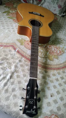 Violão Tagima Woodstock