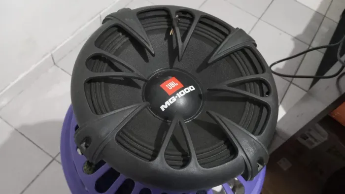 Grave JBL de 12 mg 1000