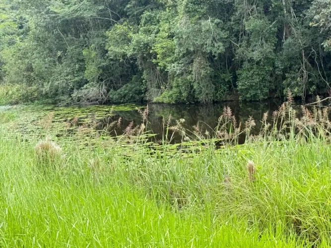 Fazendinhas módulo rural em juatuba