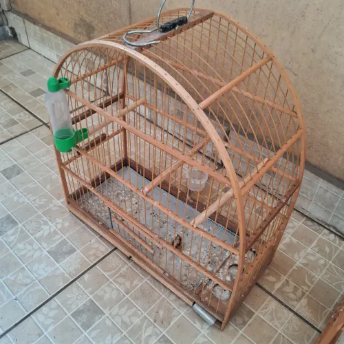 Vendo