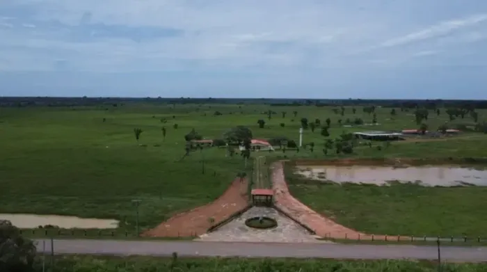 Excelente Fazenda com 1.500ha no Km 20 da BR319 no Careiro. 1.000ha (MIL) abertos