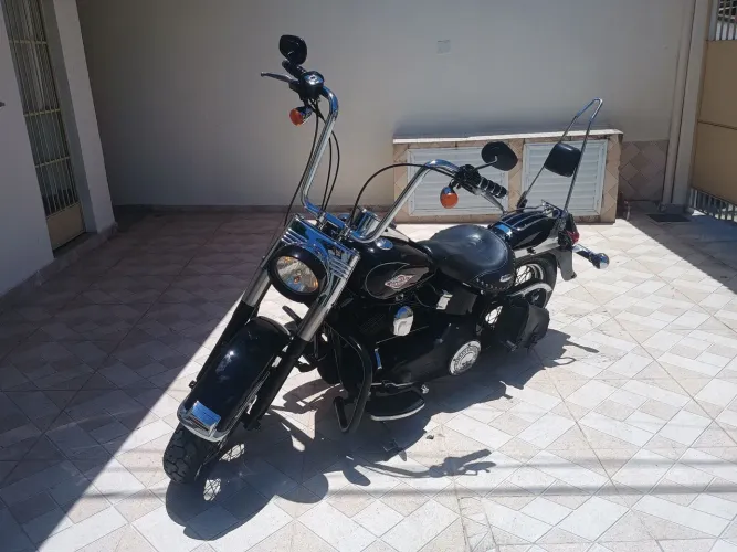 Harley Davidson heritage 2009