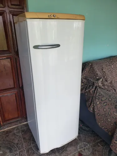 Geladeira Electrolux degelo