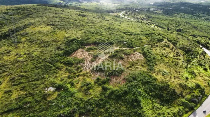 Área á venda com 34 Hectares em Bezerros ás margens da PE!