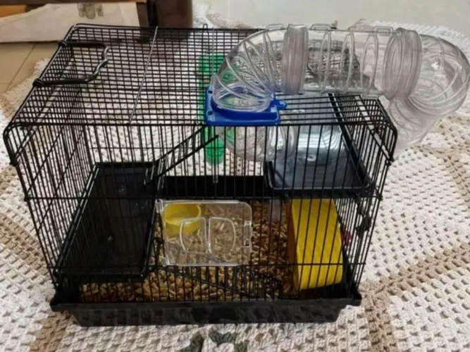 Gaiola Hamster/ roedores