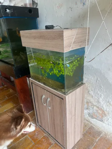Aquário 50x40x24