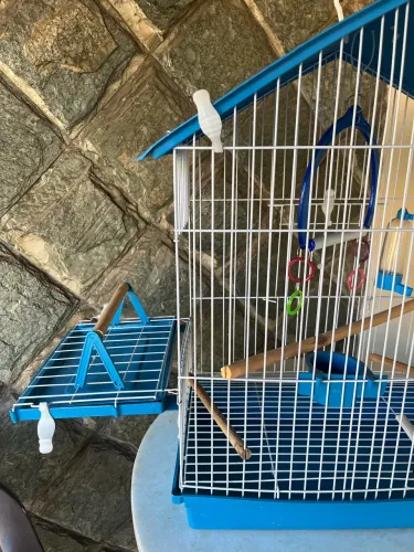 Gaiola para pássaros domésticos - calopsita, periquito e afins