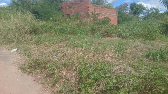Vendo Terreno 10x30 no Portal da Alegria