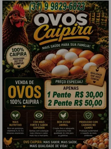 Venda de ovos 100 % caipira 1 pente por 30 e 2 por 50