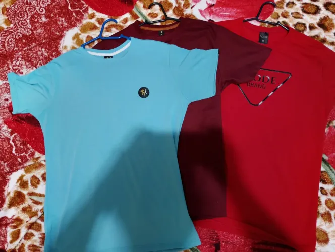 Camisas