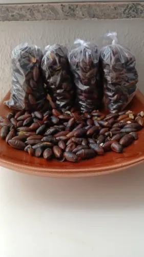 Castanhas de Baru