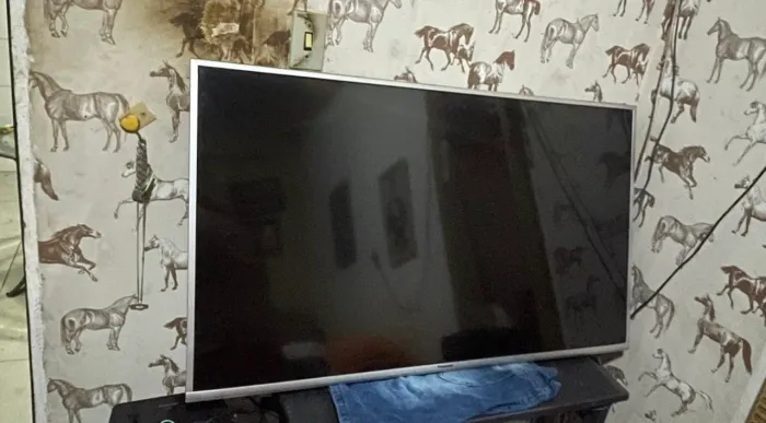 Tv 55 polegadas smart Panasonic