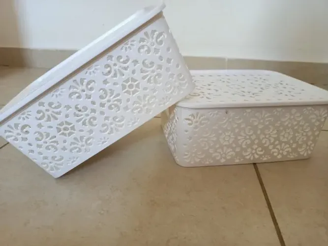 2 Caixas organizadoras com Tampas 10x20x30cm