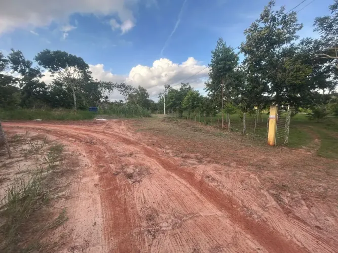 Imóvel para venda possui 34000 metros quadrados com 1 quarto em Calu - Alagoinhas - BA