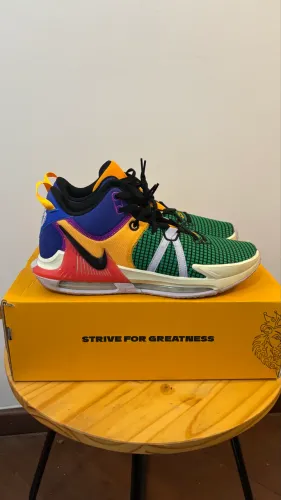 Nike Lebron Witness 7