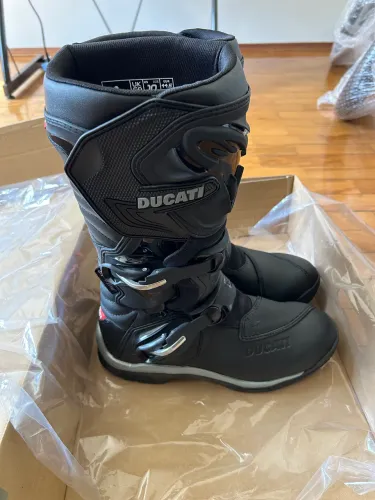 Bota Ducati Alpinestars 42br