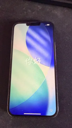 iPhone 13 Pro Max 256GB