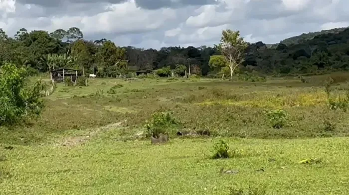 Fazenda com 750 tarefas em Tancredo Neves/BA