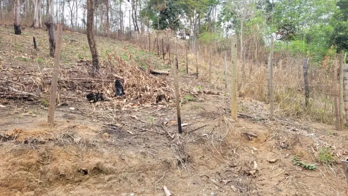Lote no vale verde