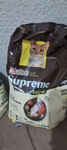 Ração de Gato