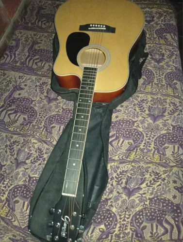 Violão giannini
