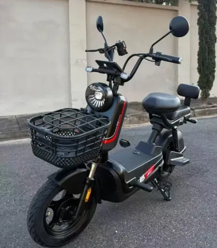 Scooter Panda J10