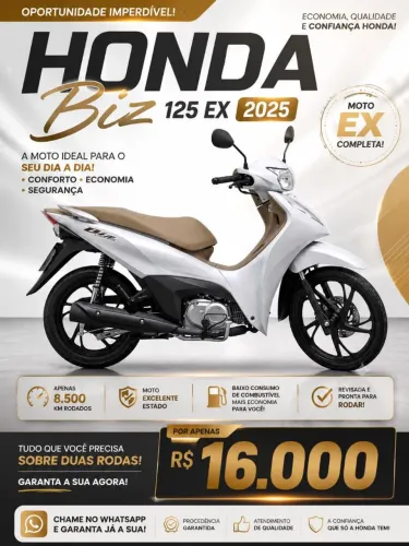 Modelo Flex Único Dono