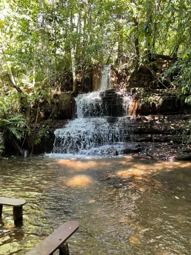 Fazenda a venda, Próximo a Palmas-TO, Oportunidade.