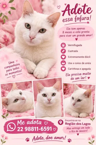 Gatinha para adoção responsável, doce, pronta para te amar!