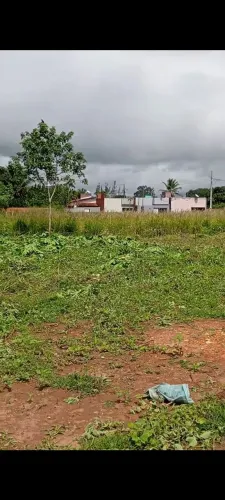 VENDO TERRENO EM SÃO DOMINGOS