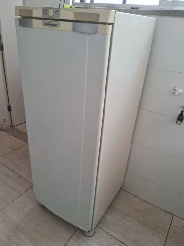 Geladeira 270 litros