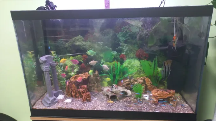 Lindo Aquário de 120 litros