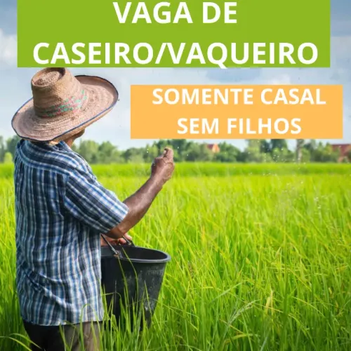 Caseiro para trabalhar em bela vista 