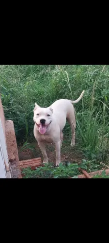 Doação