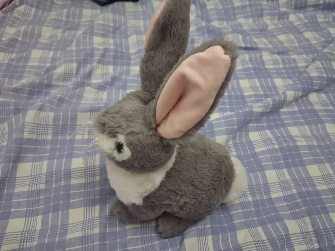 Pelucia