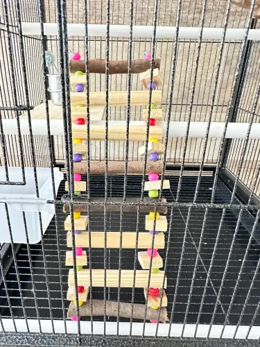 Gaiola Novíssima para Calopsita!!!!!