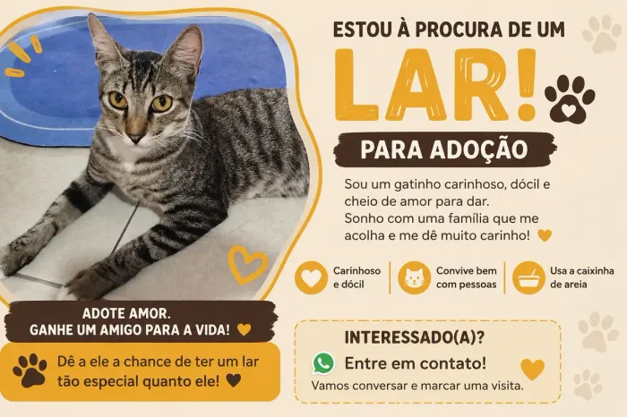 Adoção